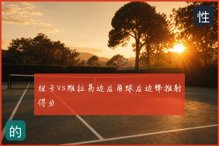 纽卡vs维拉易边后角球后边锋推射得分